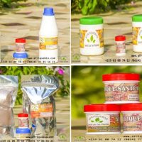 Fibrome Utérin Traitement Naturel à Base de Plantes Médicinales