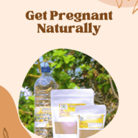 Tomber enceinte naturellement traitement à base de plantes