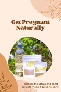 Tomber enceinte naturellement traitement à base de plantes