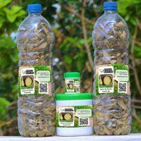 Traitement naturel Varicocèle
