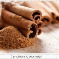 Diabète Traitement Naturel