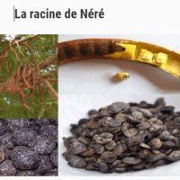 Comment Agrandir le Micropénis